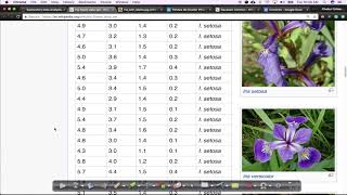 Exploratory Data Analysis 01 Simple Plotting Tools | Iris Dataset EDA | AI Experiments