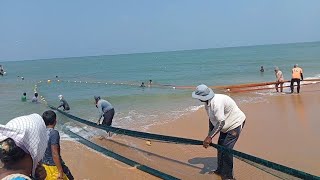 මාලු අල්ලන හැටි / How to catch fish / sinhala vlog