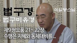 법구경 제41회 - 쌍요품 21~ 22장 지혜와 동체대비를 깨닫는 지관(止觀)수행