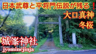 埼玉 大口真神 神山に鎮座する 『矢納 城峯神社』 紅葉と冬桜