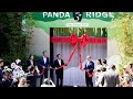 Giant pandas Xin Bao and Yun Chuan from China make debut at San Diego Zoo