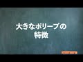 【必見！】大腸カメラは何年ごとに受けたらいいのか？内視鏡専門医が解説