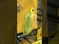 booyah blade spinnerbait anyone have experience with this bait