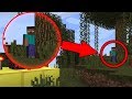 Top 10 SCARIEST Minecraft Myths, Legends & Creepypastas (Herobrine, Null, Entity 303, 3 AM and more)