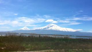 ARARAT