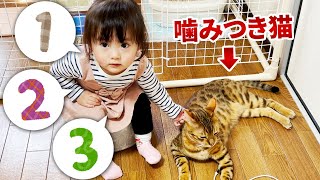 おでかけ前のひととき。数字を覚えた1歳娘と外出を察した噛みつき猫