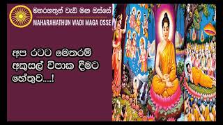 අප රටට මෙතරම් අකුසල් විපාක දීමට හේතුව .....! Maha Rahathun Wadi Maga Osse