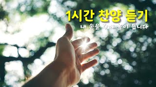 찬양 1시간 | 내 손을 주께 높이 듭니다 내 찬양 받으실 주님