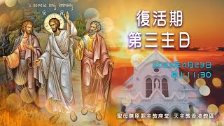 #直播彌撒【復活期第三主日】陳志明神父