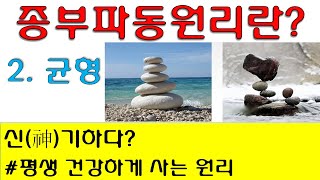 종부파동원리 원리편 (2) 균형. 신(神)기하다. 평생 건강하게 사는 원리