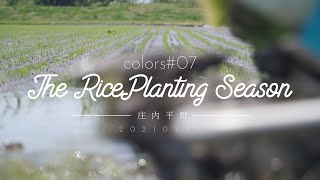 Colors #7 The RicePlanting Season ~庄内平野~ 2021.5.15