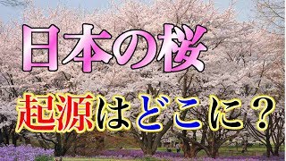 海外の反応  韓国に対する世界の評価ガタ落ち「日本の桜は韓国起源？！」→最新科学がバッサリ否定ww