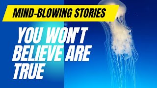 Mind-blowing Stories You Won't Believe are True