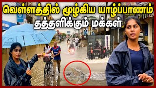 🚨Alert  வெள்ளத்தில் மூழ்கிய யாழ்ப்பாணம்  🙄🙄 தத்தளிக்கும் மக்கள் | Jaffna Flood | #bengal