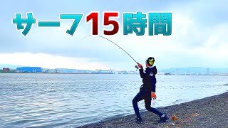 【静岡サーフ】魚釣るまで帰れません！をやってみたら‥