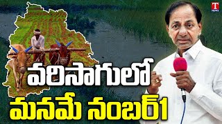 Telangana TOP in Country Paddy Production |  Yasangi Season |  T News