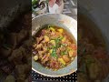 outdoor cooking with induction minivlog pork porkcurry🐖