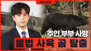 불법 사육 곰 탈출.. 주인 부부 숨져  [퇴근길 톡톡 백브리핑] (2022.12.13/울산MBC)