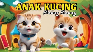 KOMPILASI LAGU ANAK INDONESIA - LAGU ANAK KUCING MEONG MEONG DAN LAGU ANAK LAINNYA POPULER 2024