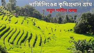 Village of Step Farming - Chhota Rangeet, Darjeeling ↑ Travel Vlog No. 103 with Santanu Ganguly