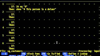 FilePro - Chapter 5 - Define Processing Table Editor, Cabe, if-then