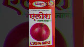 #shorts Ellora China king onion Seeds @VKTECAgriculture