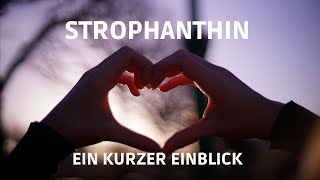 Strophanthin - ein kleiner Einblick