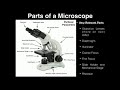 Lab Exercise 2: Microscopes and Cell Shapes