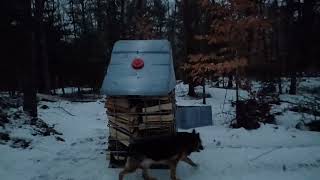 IBC totes for firewood storage and my other uses