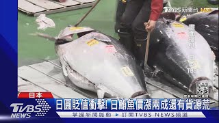 日圓貶值衝擊! 日本貿易商搶輸鮪魚.鯖魚 超市現斷貨危機｜TVBS新聞