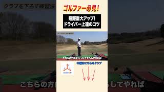 ドライバー上達のコツ！飛距離が伸びる！！#golf #ゴルフ #レッスン