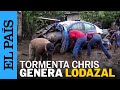 MÉXICO | La tormenta tropical Chris deja lluvias y lodo en Veracruz | EL PAÍS