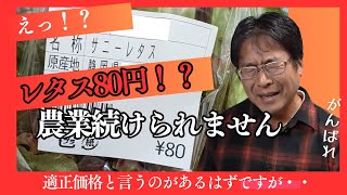 この値段で売られたら三和農園は確実に潰れます・・。（2024.11.29）