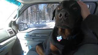 Toyo Open Country Tires and Snowplowing after the storm with the Dogs in Angel Fire, NM, Don France