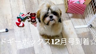 【シーズーすももseason2】ドギーボックス12月号にすももちゃんの好きなアレ入っていて大興奮٩(♡ε♡ )۶