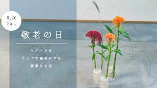 お花の飾り方part 37＊ケイトウ・サランラップ編