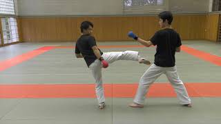 【KARATE TUTORIAL】Kumite Tactics Against Bigger Opponents