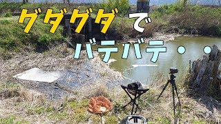 乗っ込みフナ？　もうグダグダのバテバテ・・ 【春のフナ釣り・コイ釣り】