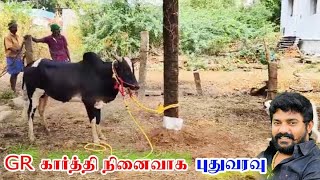 GR கார்த்தி நினைவாக நத்தமாடிப்பட்டி ராகுல் புதுவரவு