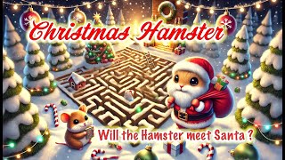 Hamster Celebrates Christmas with Santa #HamsterChristmas #MazeToSanta #SantaHamster