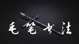 毛笔书法入门该选什么字体？| 書法 | Chinese calligraphy | 해서체 | 楷書 | 서예 | 書道 | 行書 | 隸書 | 篆書