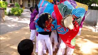 獅子舞m,別宮大山祗神社,今治市,2019/5/11(令和1)