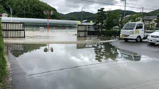 冠水道路に車が走る 平成30年7月豪雨 岡山