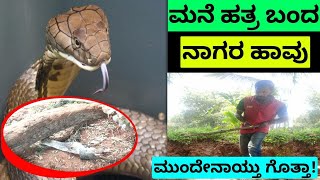 snake in kannada | ನಮ್ಮ ಮನೆಯ ಹತ್ತಿರ ಬಂದ ಭಯಂಕರ ನಾಗರ ಹಾವು ಮುಂದೇನಯ್ತು ನೀವೇ ನೋಡಿ |black cobra in kannada