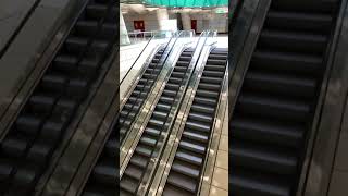 Amazing Otis escalators