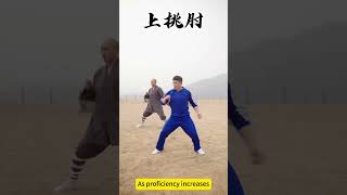 Wudang Tai Chi 48 Sanshou teaching, Self-defense#wudang #taichi #health#Qigong # Chinese Kung Fu