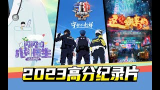 好看不枯燥！比電視劇更打動人的2023高分紀錄片安利【小金】