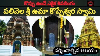 పలివెల శ్రీ ఉమా కొప్పేశ్వర స్వామి| palivela sri uma koppeswara swamy temple | siva rathri| పల్లెటూరు