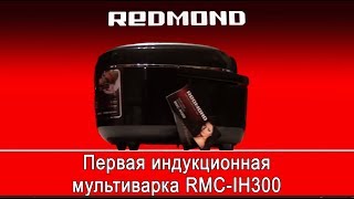 Индукционная мультиварка REDMOND RMC-IH300 (2015 г)