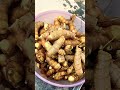 mango ginger harvesting trending viralshort mustwatch gardening gardeningtips homegardening